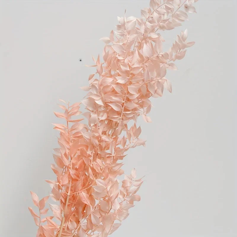 Natural Ruscus Dried Bouquet