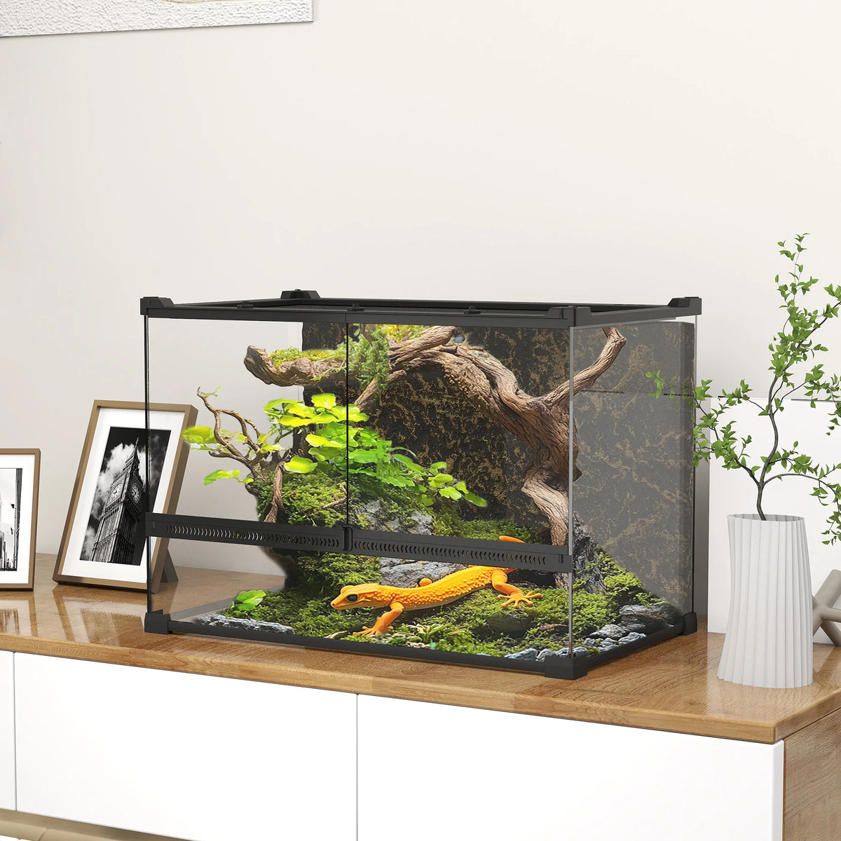 Glass Reptile Terrarium