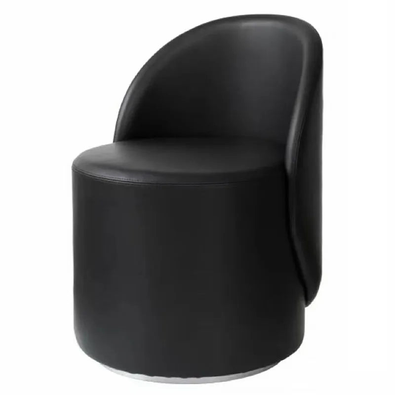 Swivel Vanity Chair Stool