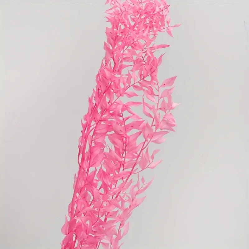 Natural Ruscus Dried Bouquet