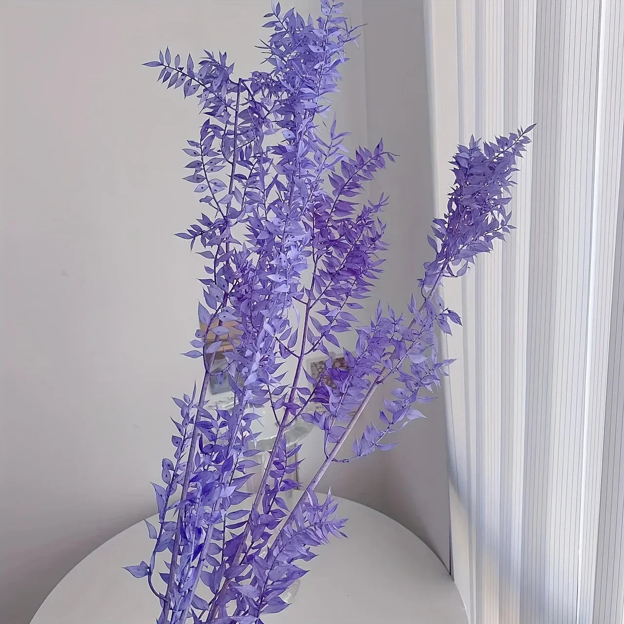 Natural Ruscus Dried Bouquet