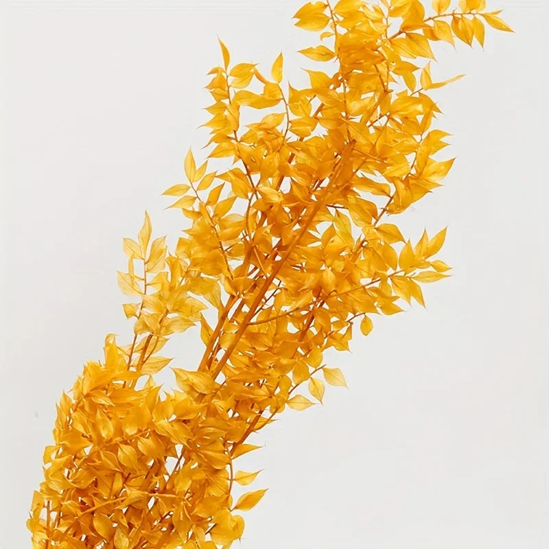 Natural Ruscus Dried Bouquet