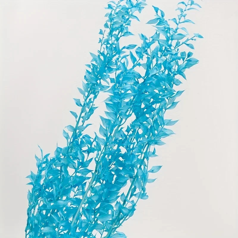Natural Ruscus Dried Bouquet