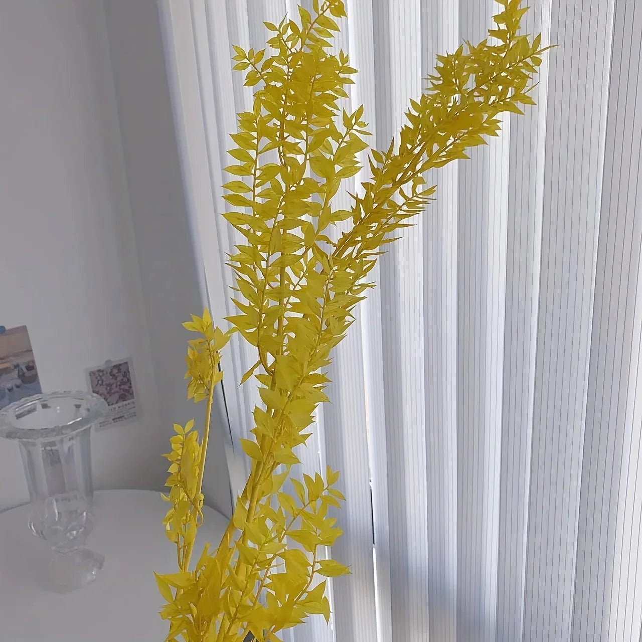 Natural Ruscus Dried Bouquet