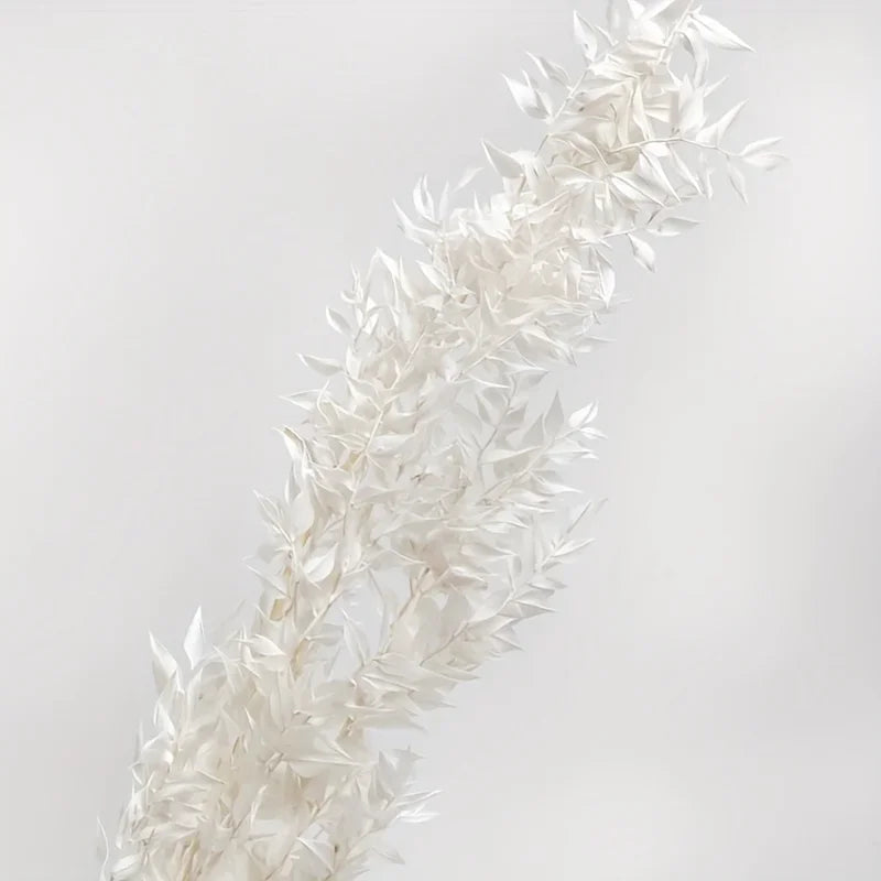 Natural Ruscus Dried Bouquet